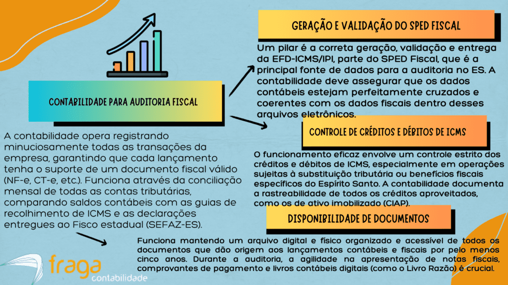 Como funciona a contabilidade para Auditoria Fiscal no Espírito Santo